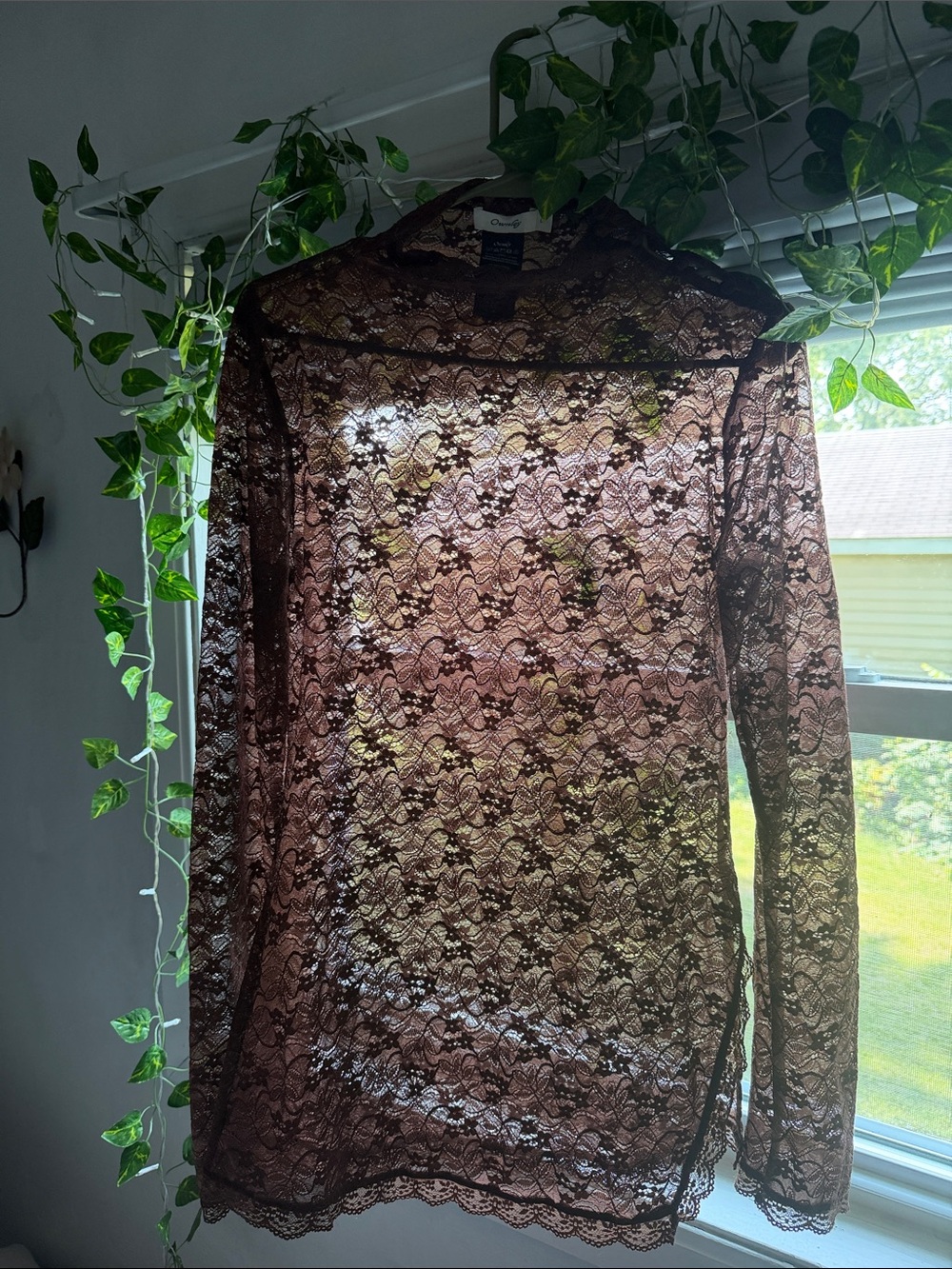 Sheer Lace Long-Sleeve Blouse - Brown